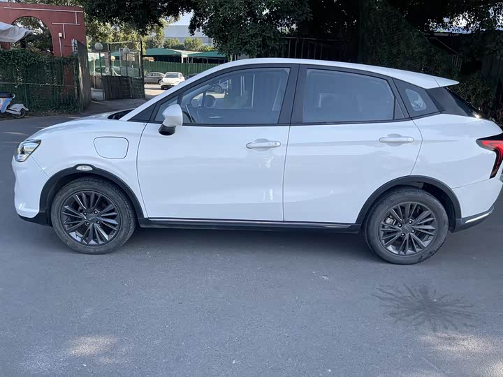 Фото 8 - Hozon V