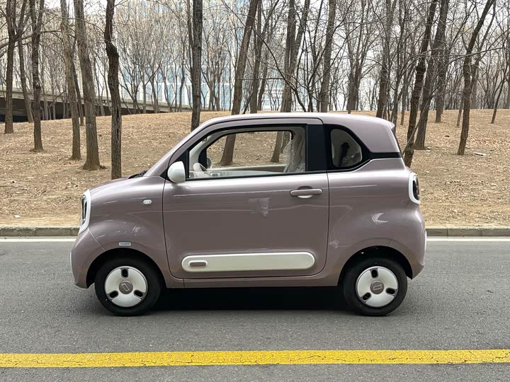 Фото 4 - Bestune Pony