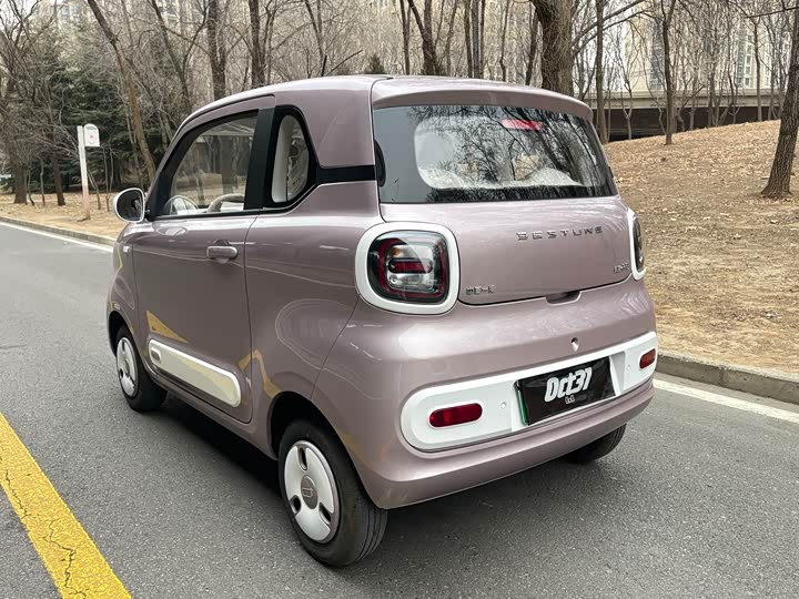 Фото 5 - Bestune Pony