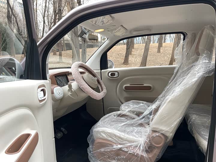 Фото 8 - Bestune Pony