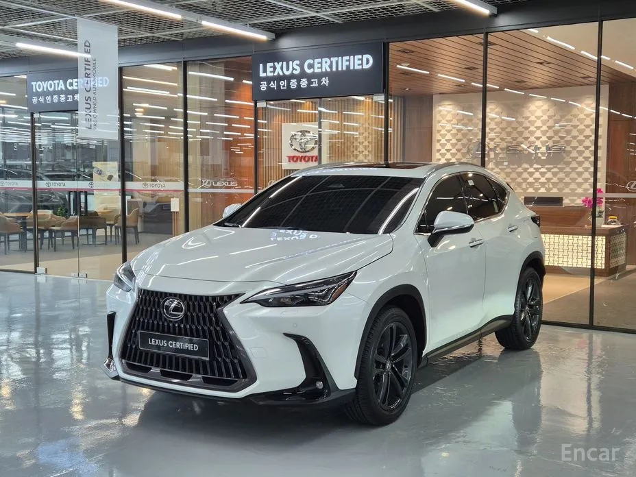 Фото 1 - Lexus NX