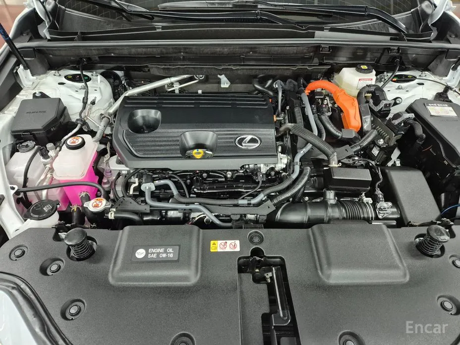 Фото 6 - Lexus NX