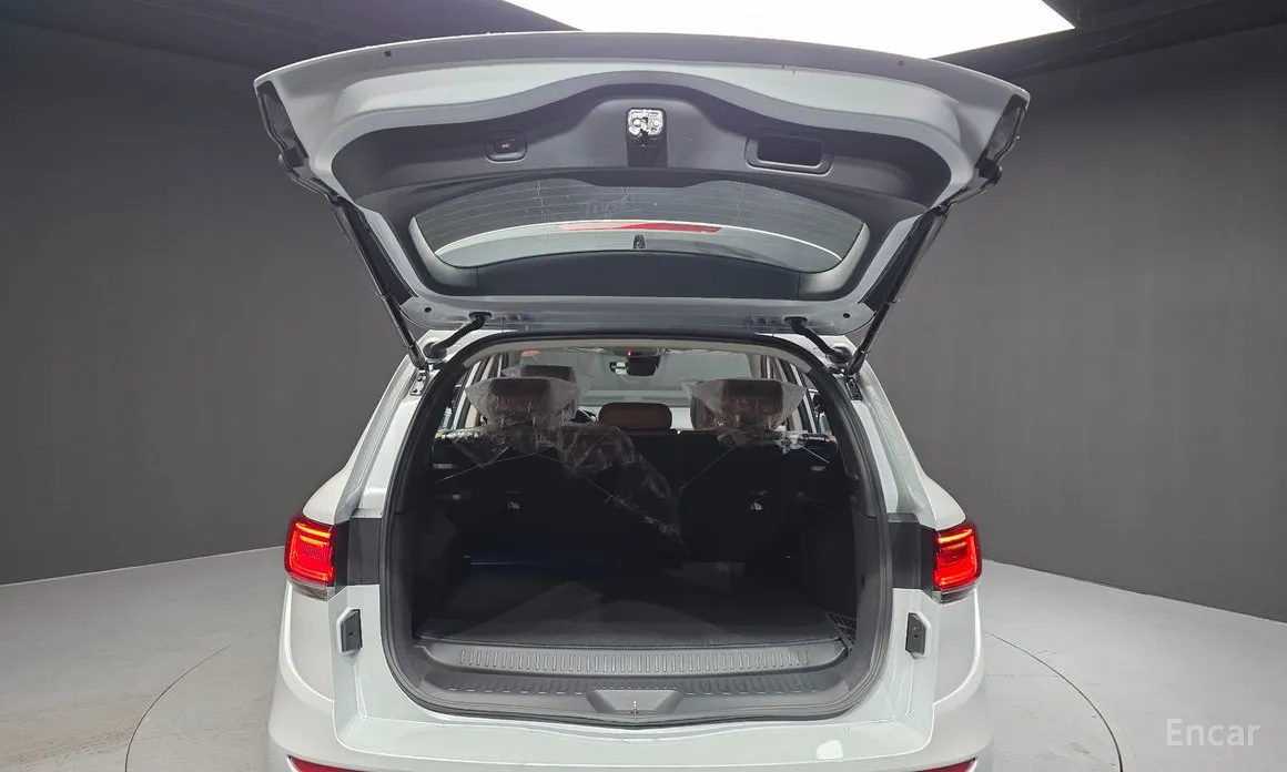 Фото 20 - Renault QM6