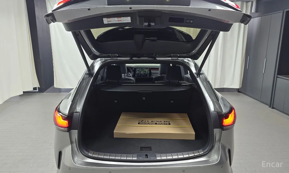 Фото 20 - Lexus RX