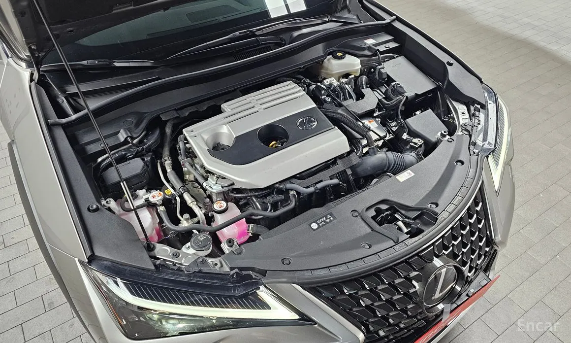 Фото 6 - Lexus UX