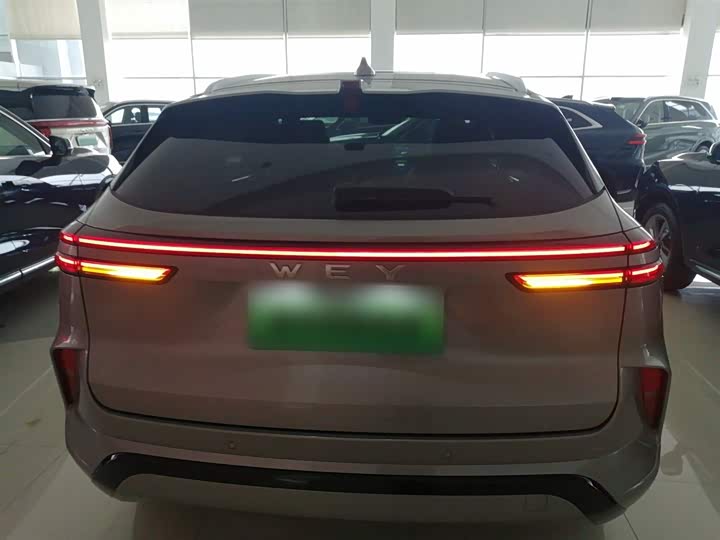 Фото 6 - Wey Mocca Hybrid