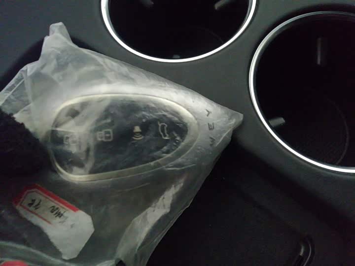 Фото 9 - Wey Mocca Hybrid