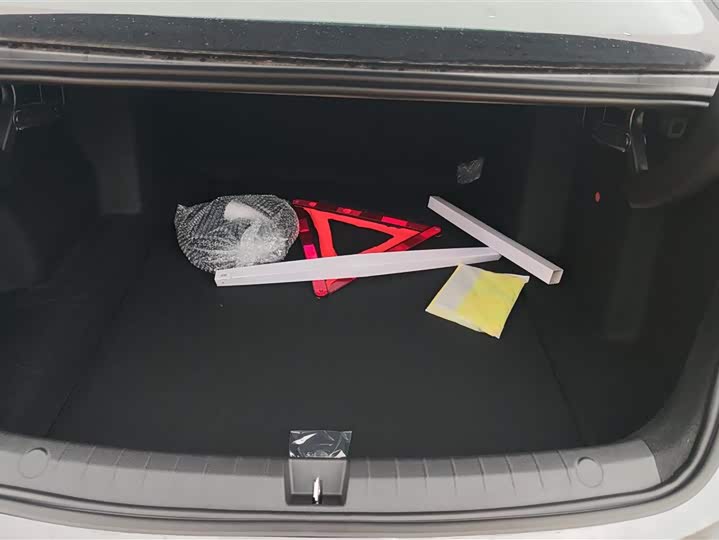 Фото 4 - BYD Qin Plus