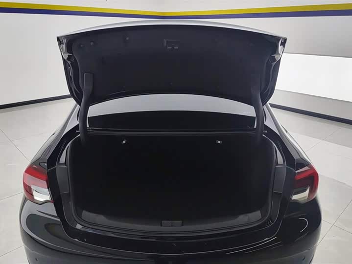 Фото 4 - Buick Regal