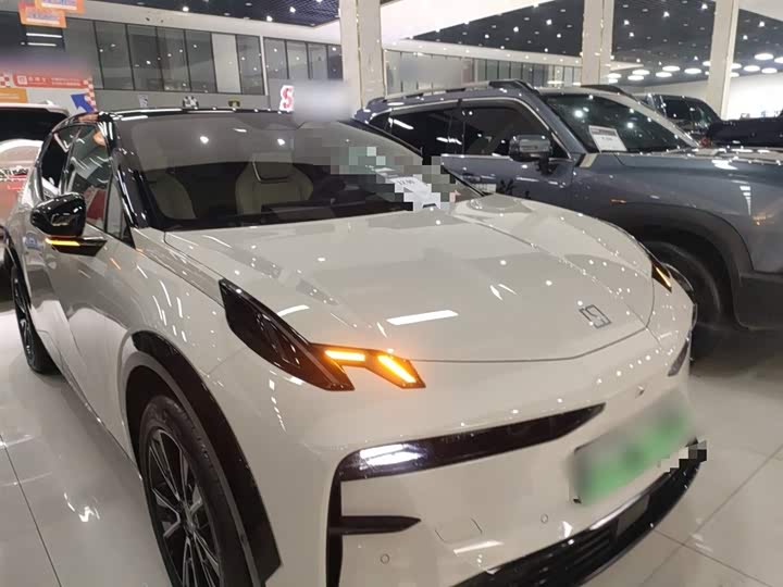 Фото 4 - Zeekr X