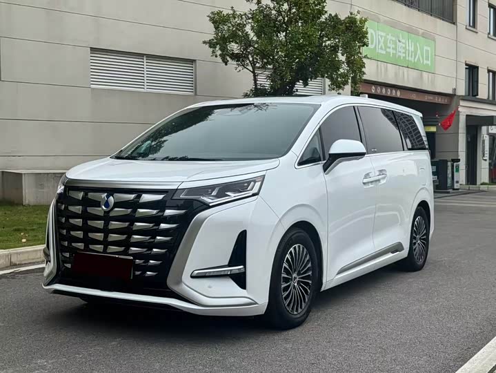 Фото 2 - Denza D9