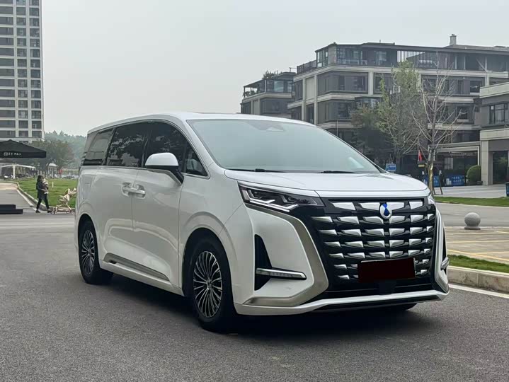 Фото 3 - Denza D9