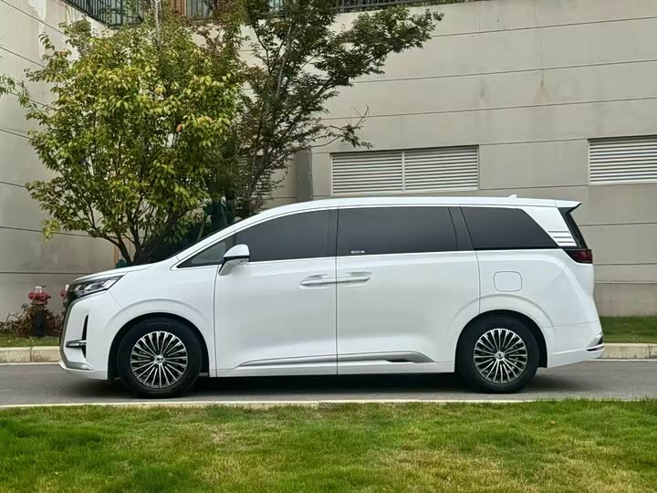 Фото 5 - Denza D9