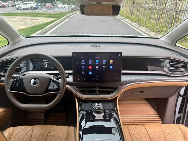 Фото 6 - Denza D9