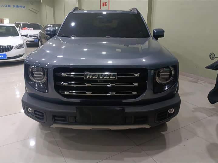 Фото 2 - Haval Dargo