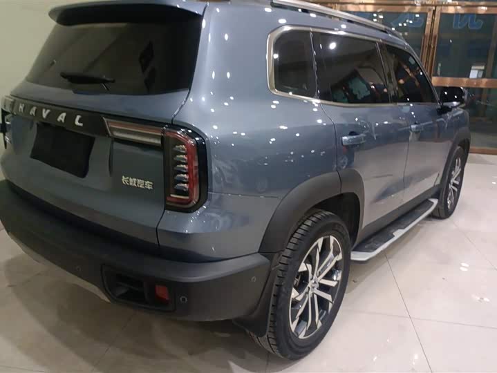 Фото 3 - Haval Dargo