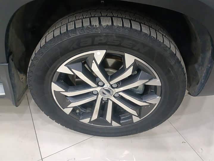 Фото 6 - Haval Dargo