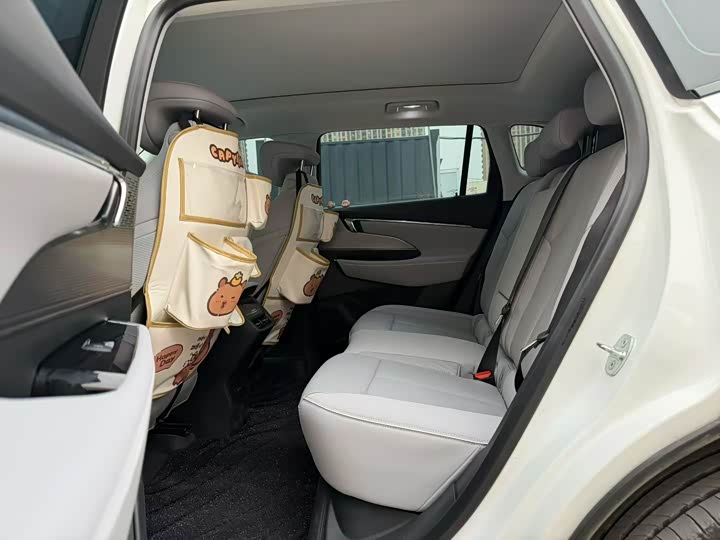 Фото 5 - Buick Electra E5