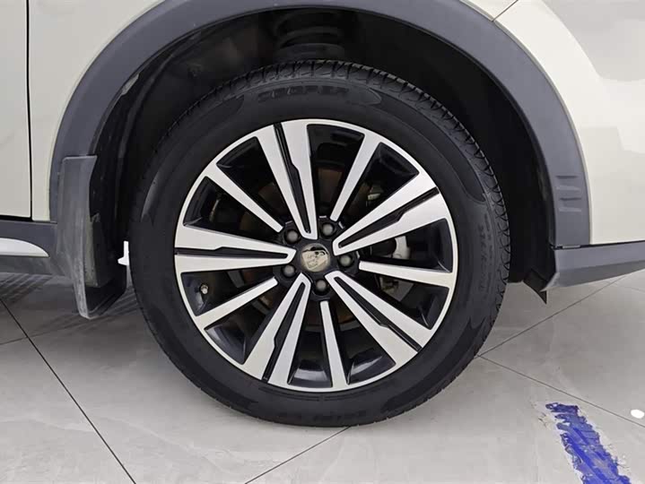 Фото 6 - Roewe RX5