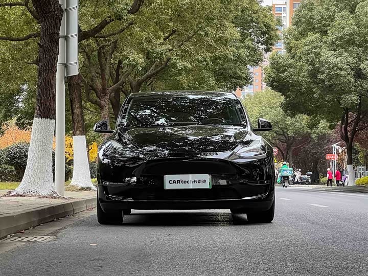Фото 2 - Tesla Model Y