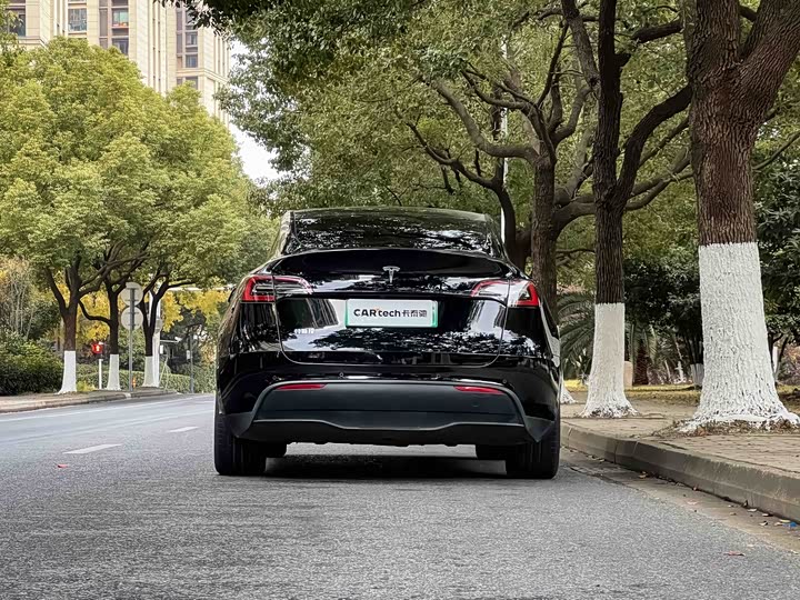 Фото 4 - Tesla Model Y