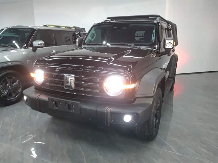 Фото 3 - Tank 300