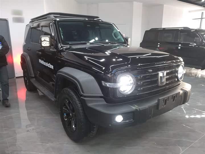 Фото 4 - Tank 300