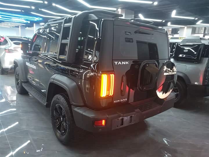 Фото 5 - Tank 300