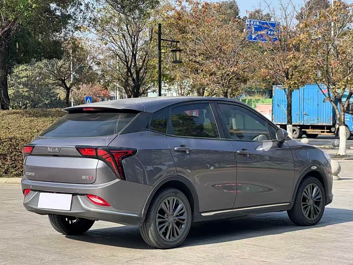 Фото 8 - Hozon V