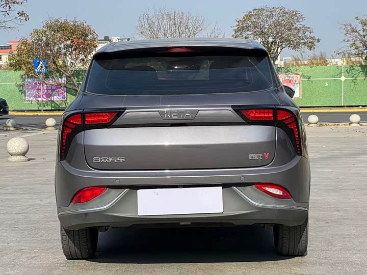 Фото 9 - Hozon V