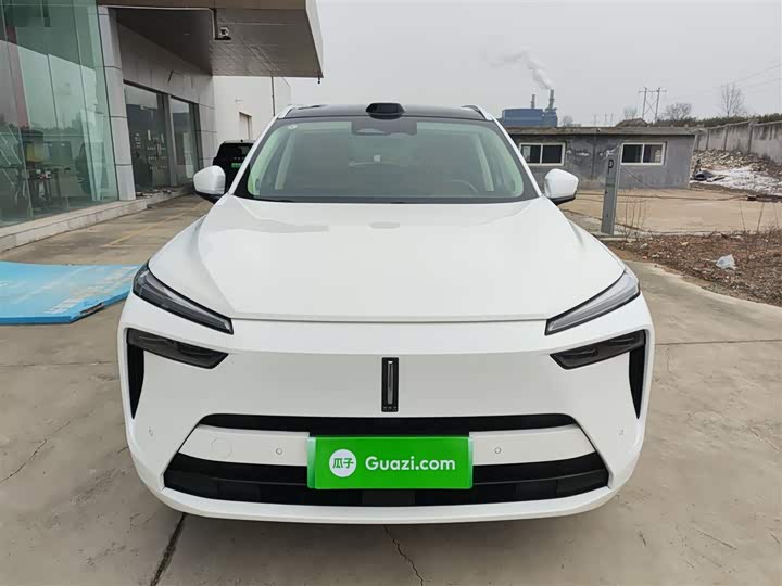 Фото 3 - Wey Lanshan