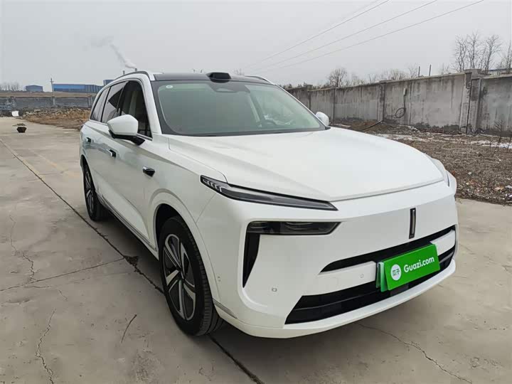 Фото 4 - Wey Lanshan