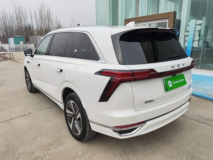 Фото 5 - Wey Lanshan