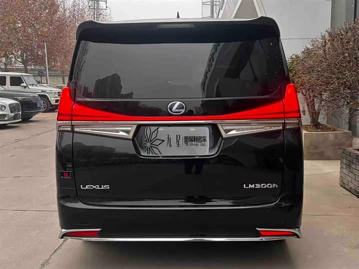 Фото 4 - Lexus LM