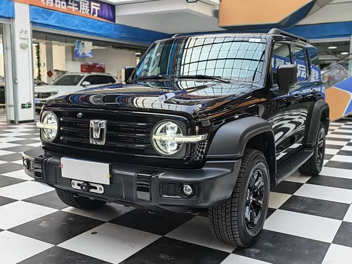 Фото 1 - Tank 300