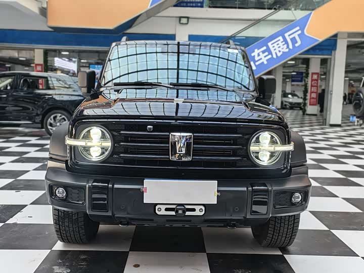 Фото 2 - Tank 300