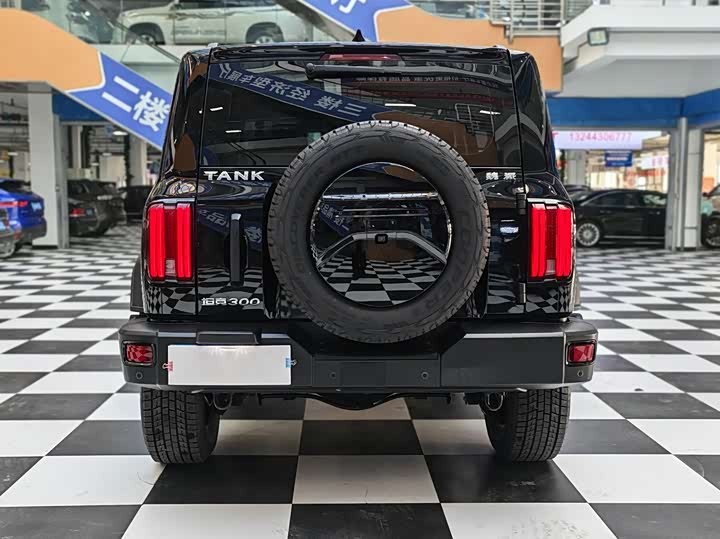 Фото 5 - Tank 300