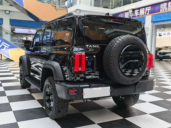 Фото 6 - Tank 300