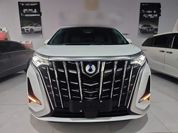 Фото 3 - Denza D9