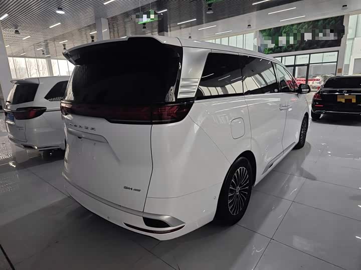 Фото 7 - Denza D9