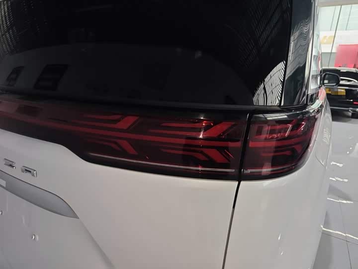 Фото 8 - Denza D9