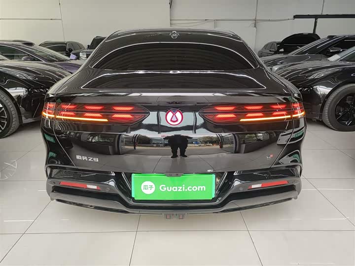 Фото 6 - Denza Z9