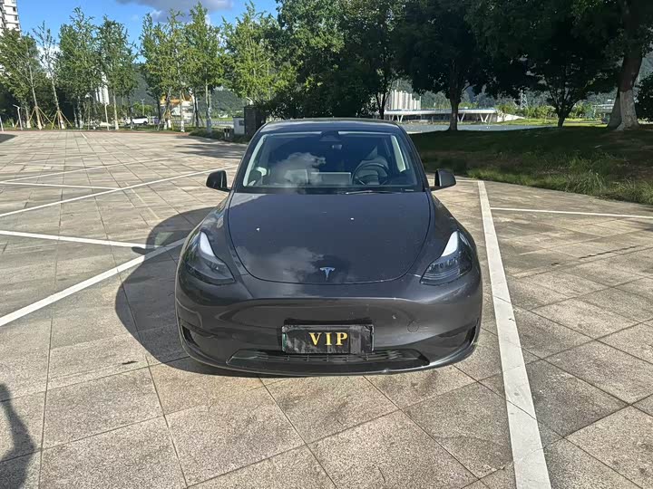 Фото 2 - Tesla Model Y