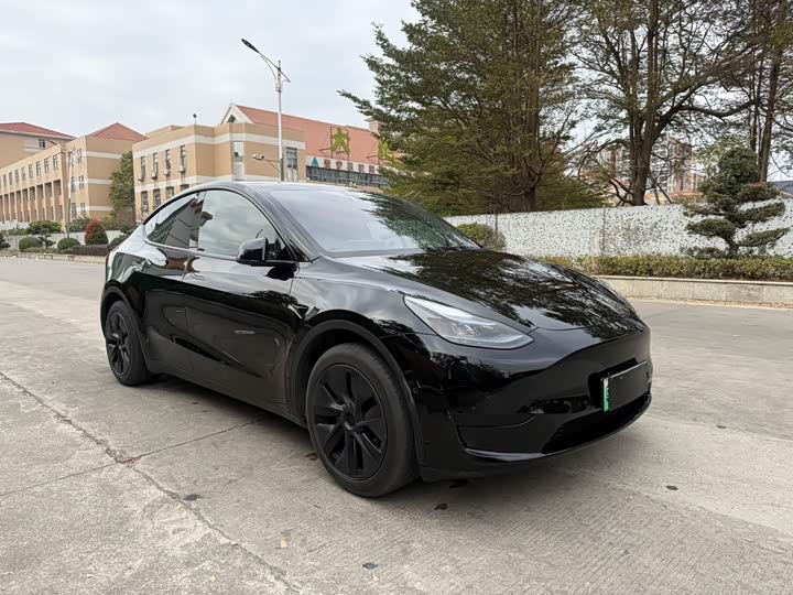 Фото 3 - Tesla Model Y
