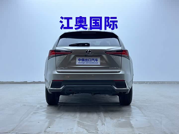 Фото 5 - Lexus NX