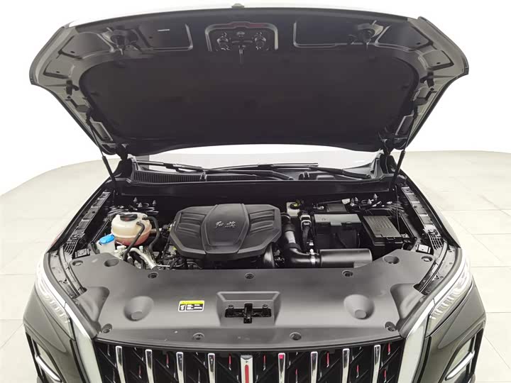 Фото 6 - Hongqi HS5