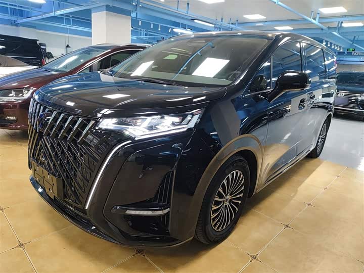 Фото 1 - Denza D9