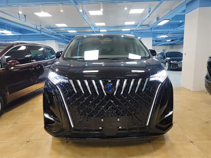 Фото 3 - Denza D9