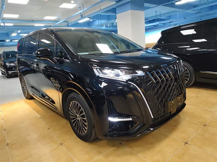 Фото 4 - Denza D9