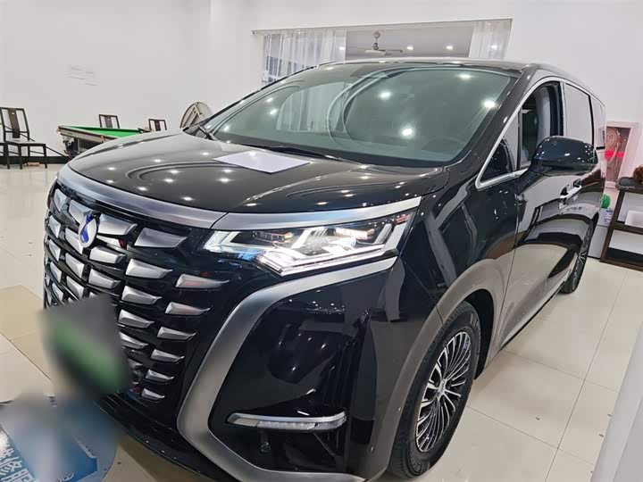 Фото 2 - Denza D9